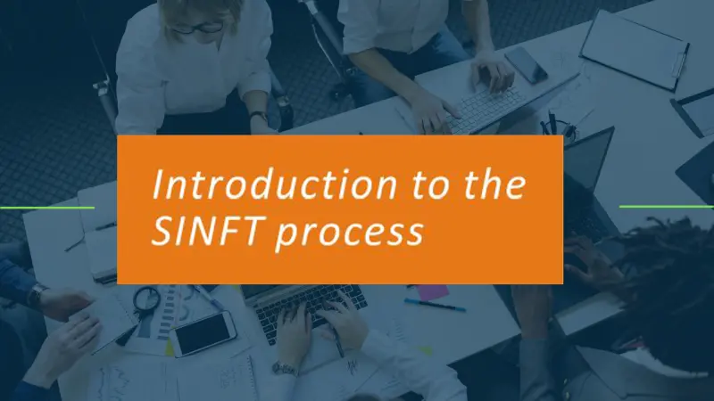 Introduction to the SINFT process