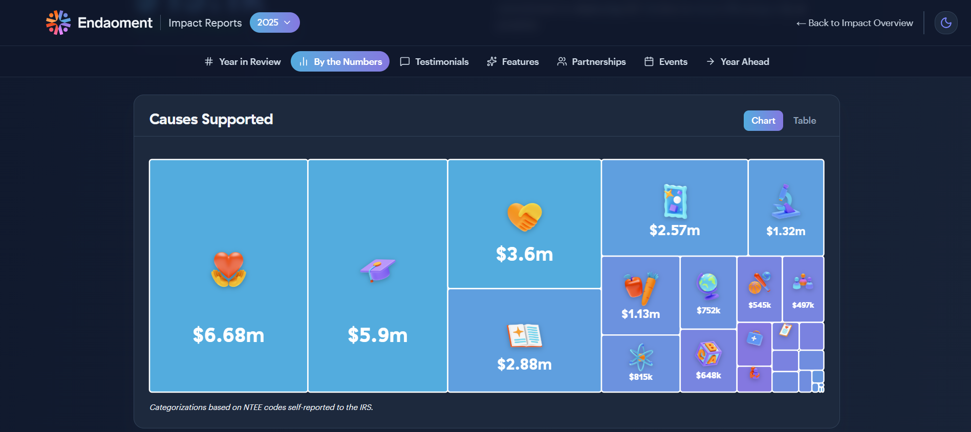 The Endaoment impact reporting dashboard displaying a "Causes Supported" visual chart. It demonstrates how to present complex financial data clearly by grouping millions of dollars in funding into easy-to-read blocks categorized by cause-specific icons.